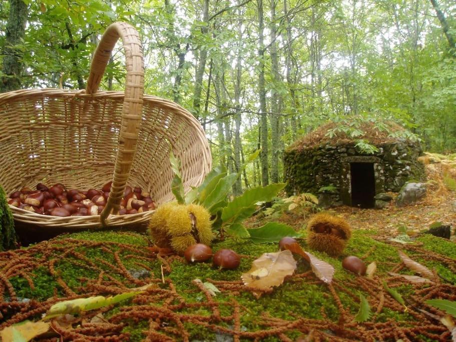Casa Rural Margarita I Montánchez Esterno foto